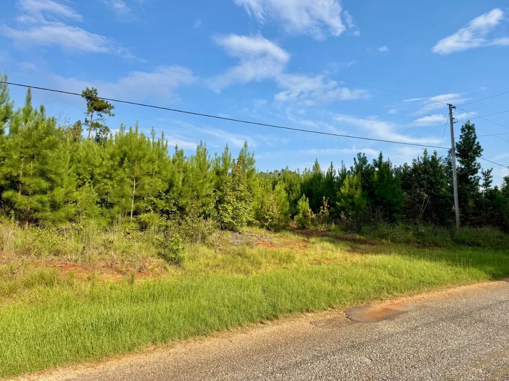 0 Bethlehem Road Jackson AL 36545