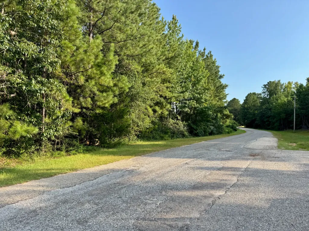 0 Bethlehem Road Jackson AL 36545