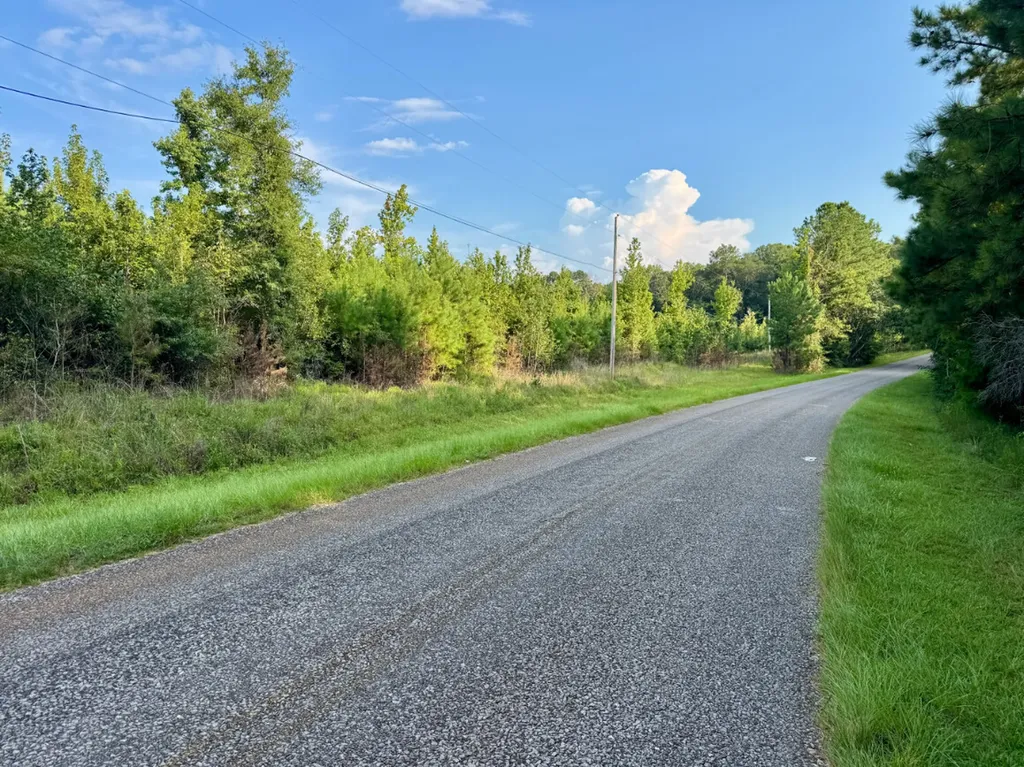 0 Bethlehem Road Jackson AL 36545