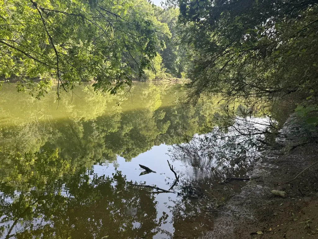 0 River Road Sipsey AL 35584