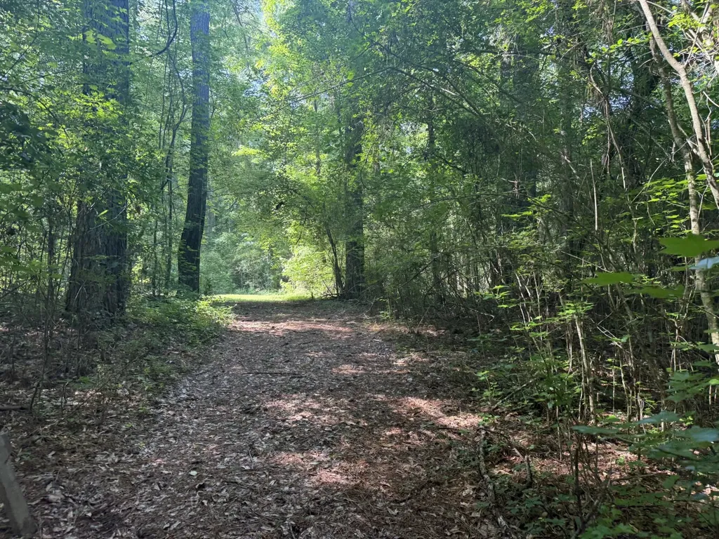 0 River Road Sipsey AL 35584