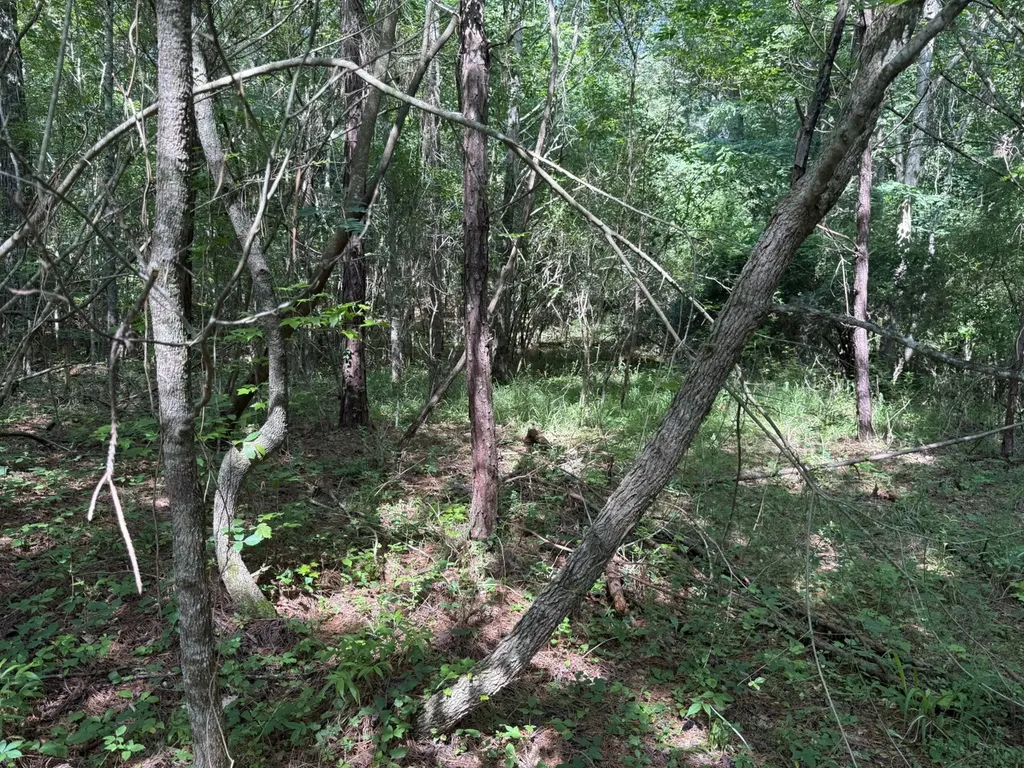 0 River Road Sipsey AL 35584