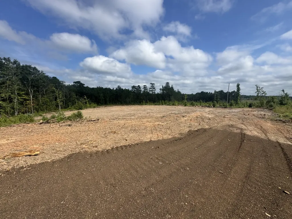 0 Celeste Road Citronelle AL 36522