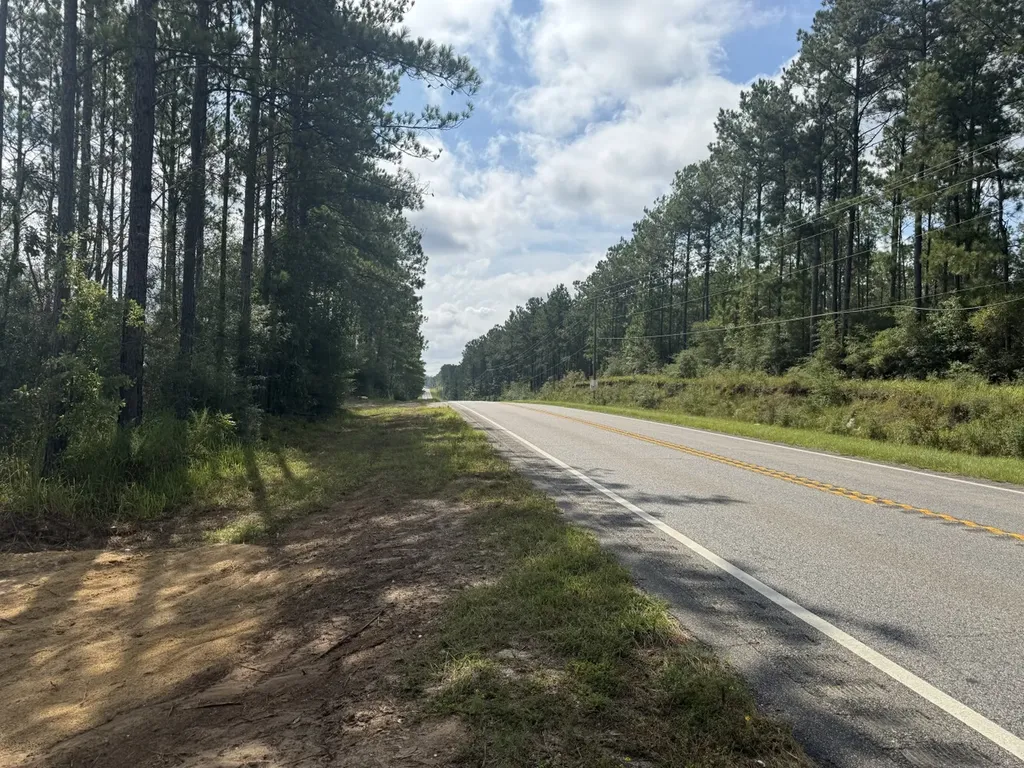 0 Celeste Road Citronelle AL 36522