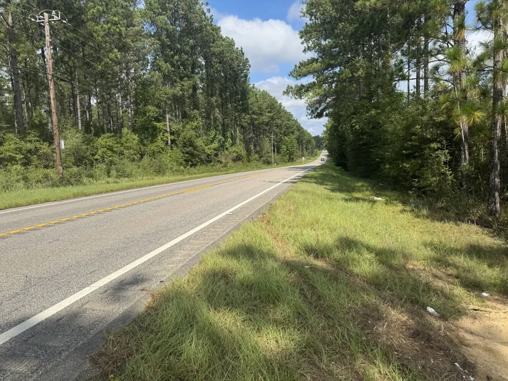 0 Celeste Road Citronelle AL 36522