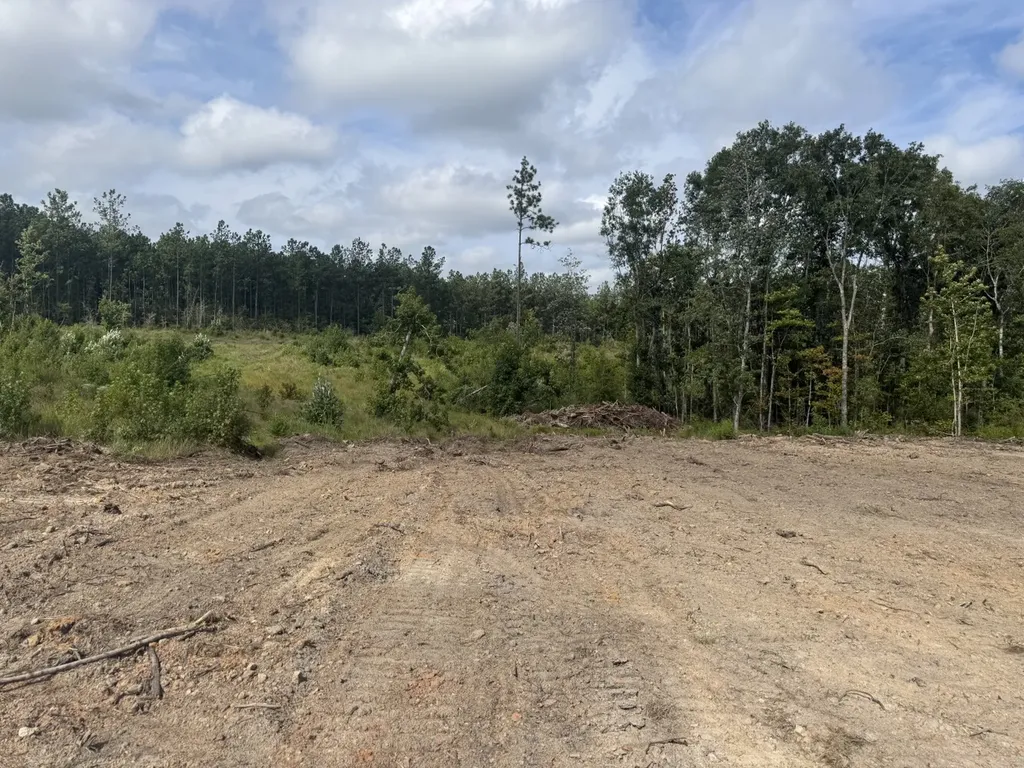 0 Celeste Road Citronelle AL 36522