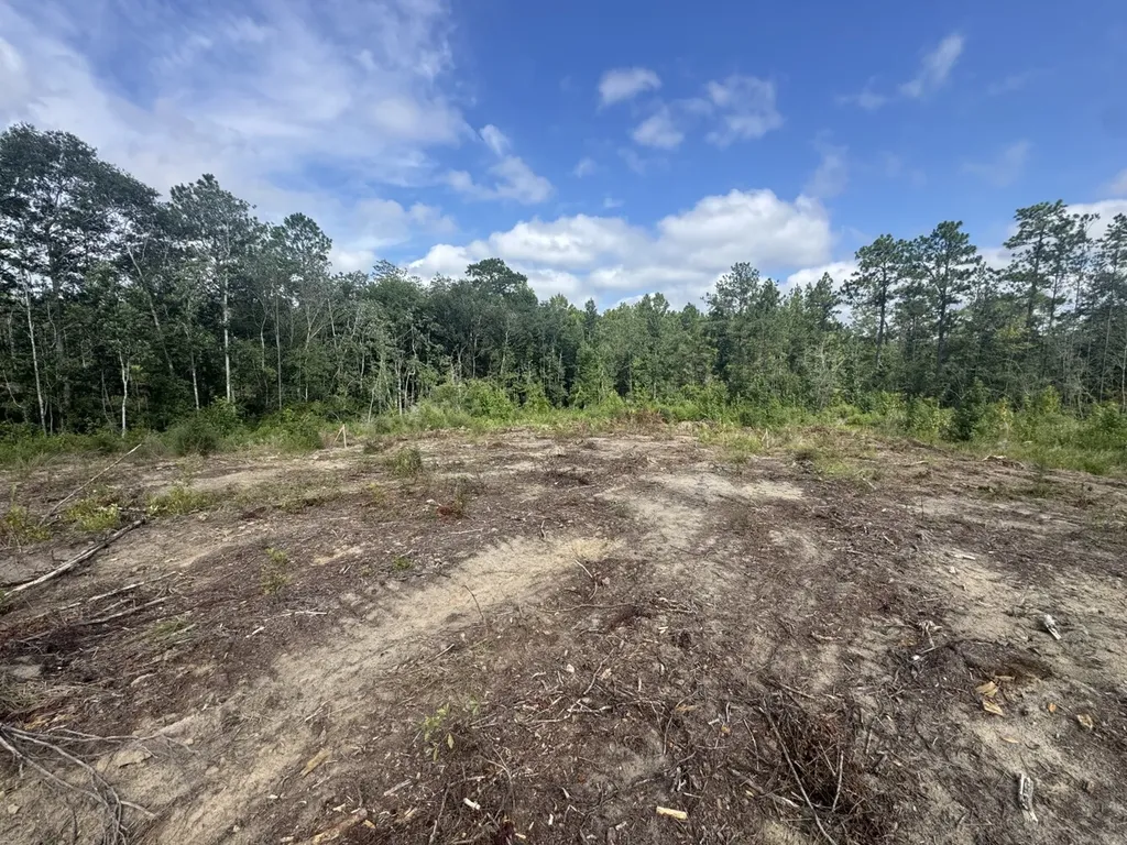 0 Celeste Road Citronelle AL 36522