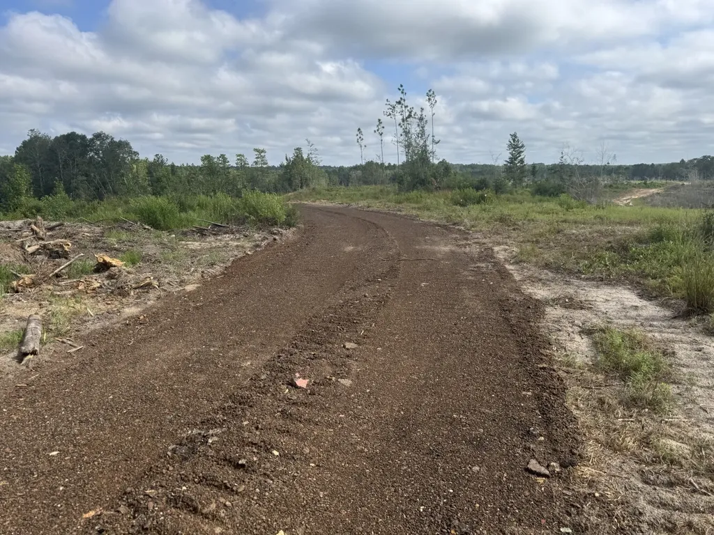 0 Celeste Road Citronelle AL 36522