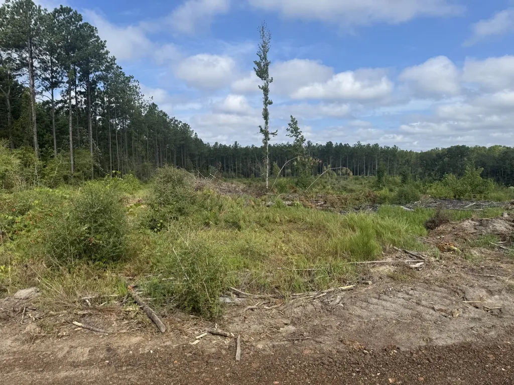 0 Celeste Road Citronelle AL 36522