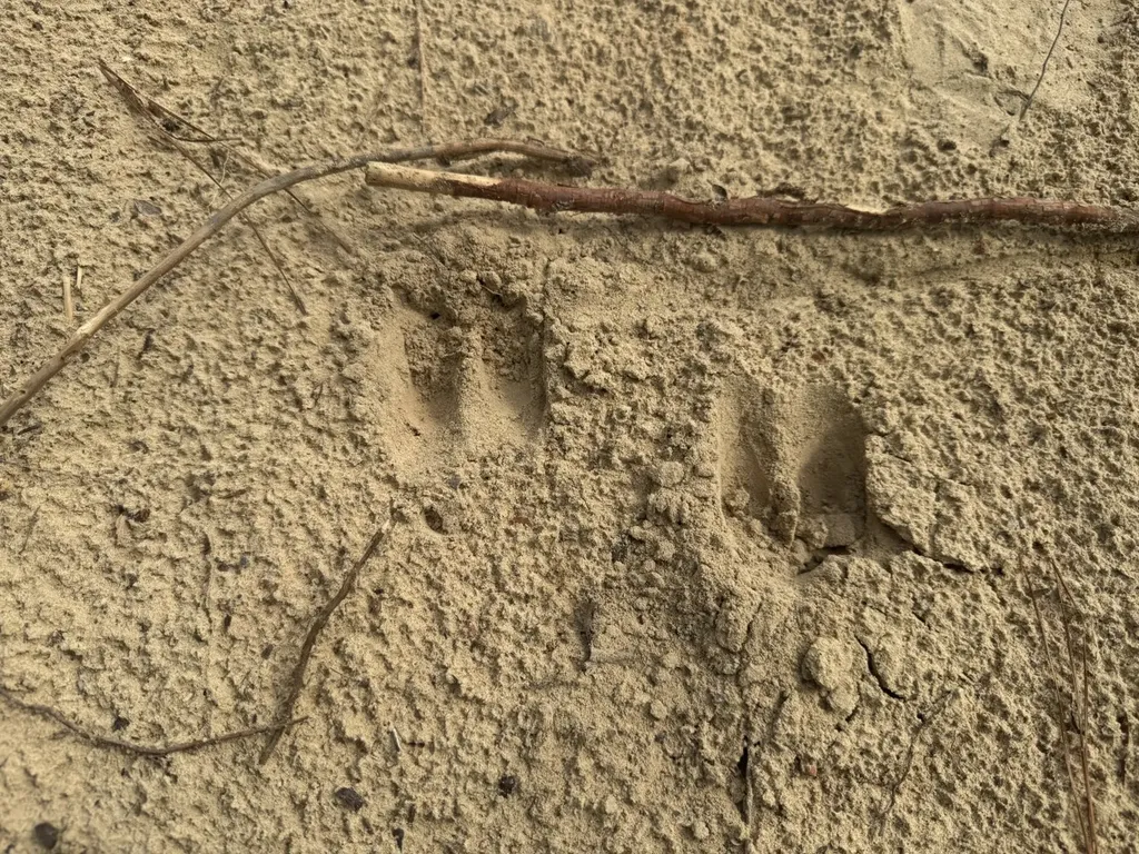 0 Celeste Road Citronelle AL 36522