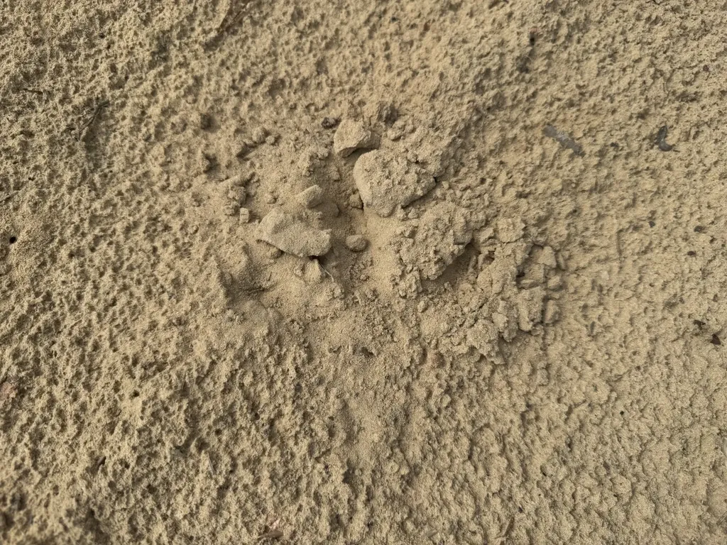 0 Celeste Road Citronelle AL 36522