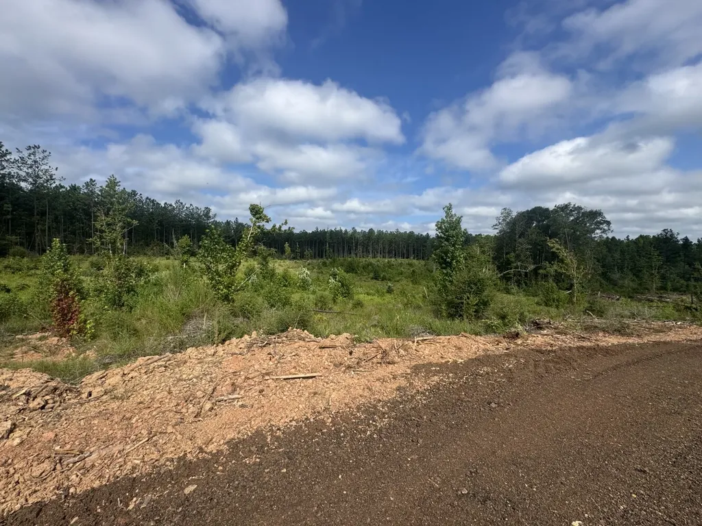 0 Celeste Road Citronelle AL 36522