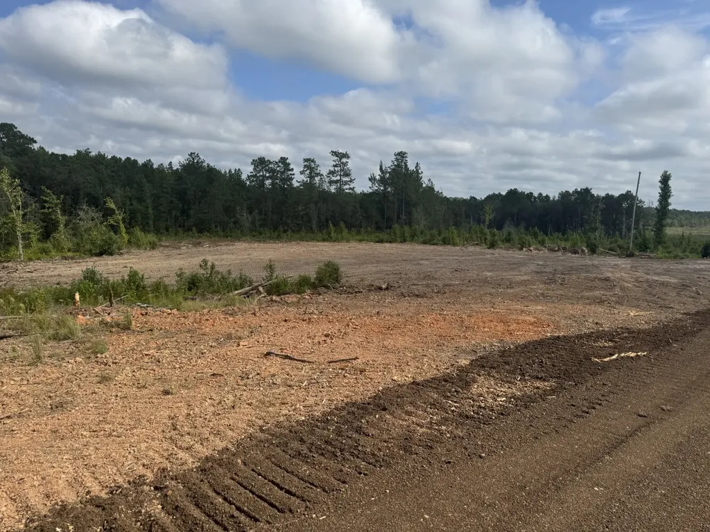 0 Celeste Road Citronelle AL 36522