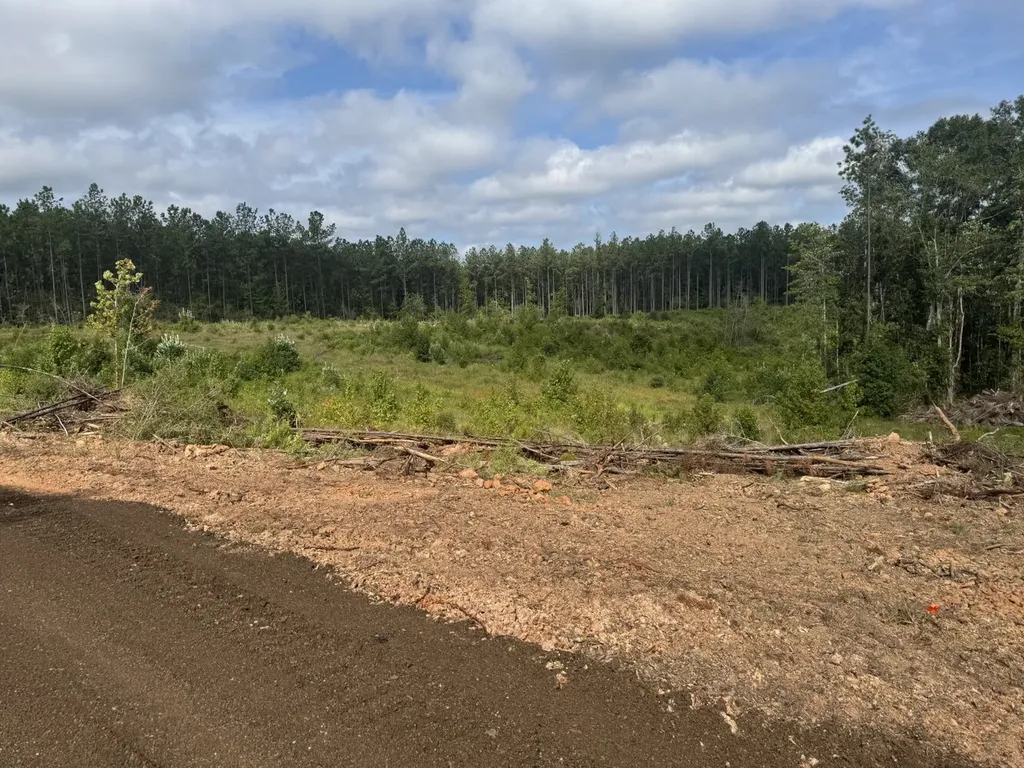 0 Celeste Road Citronelle AL 36522