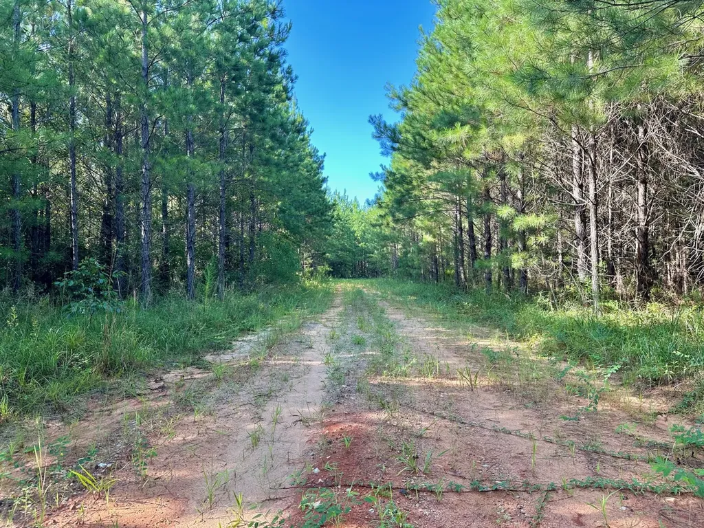 0 James Drive Lisman AL 36912