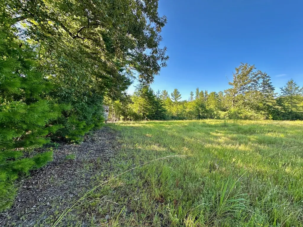 0 James Drive Lisman AL 36912