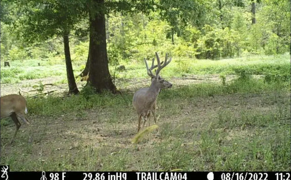 0 James Drive Lisman AL 36912