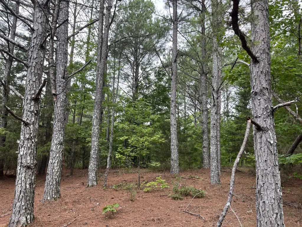 1423 Co Highway 25 Hamilton AL 35570