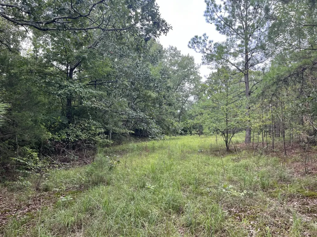 1423 Co Highway 25 Hamilton AL 35570