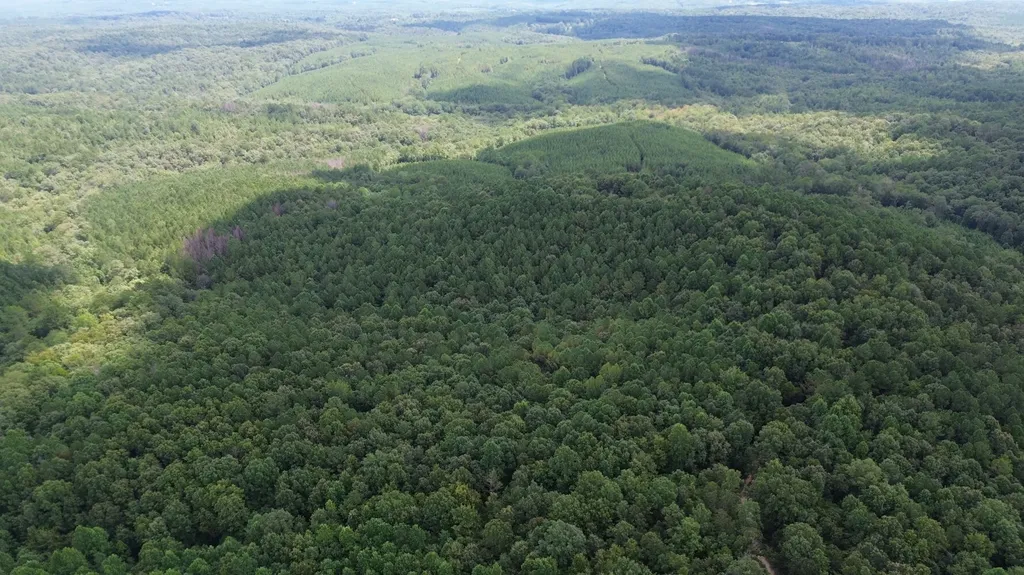 1423 Co Highway 25 Hamilton AL 35570