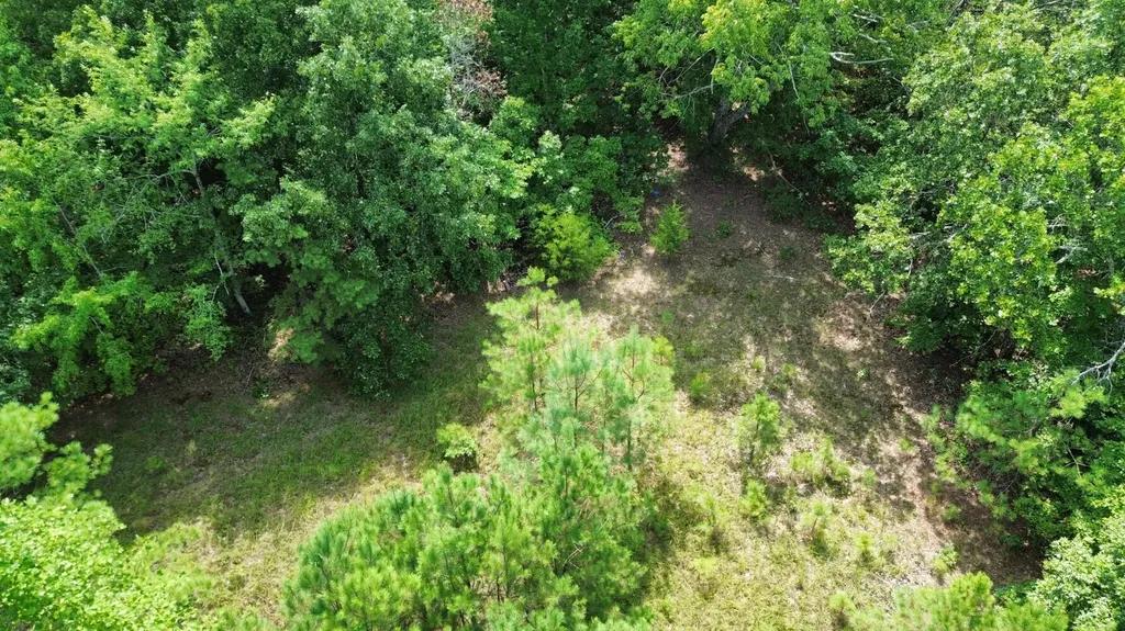1423 Co Highway 25 Hamilton AL 35570