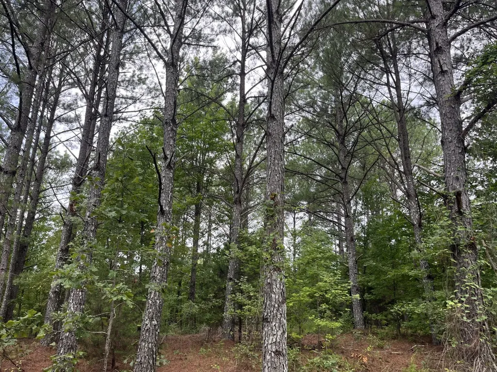 1423 Co Highway 25 Hamilton AL 35570