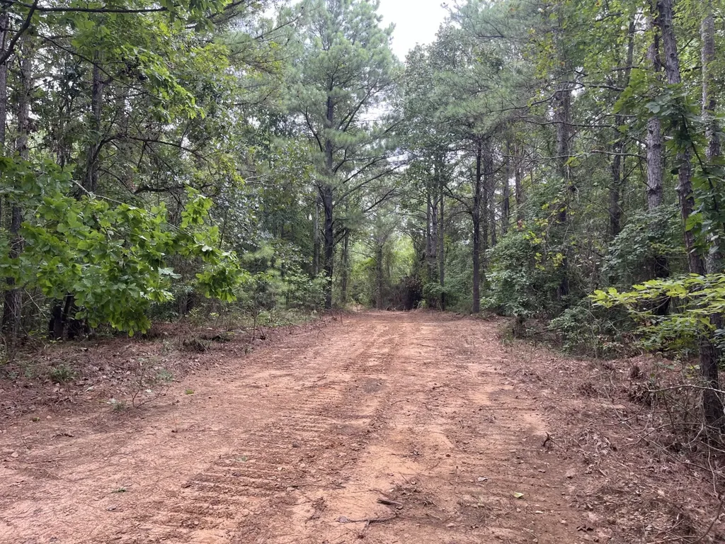 1423 Co Highway 25 Hamilton AL 35570