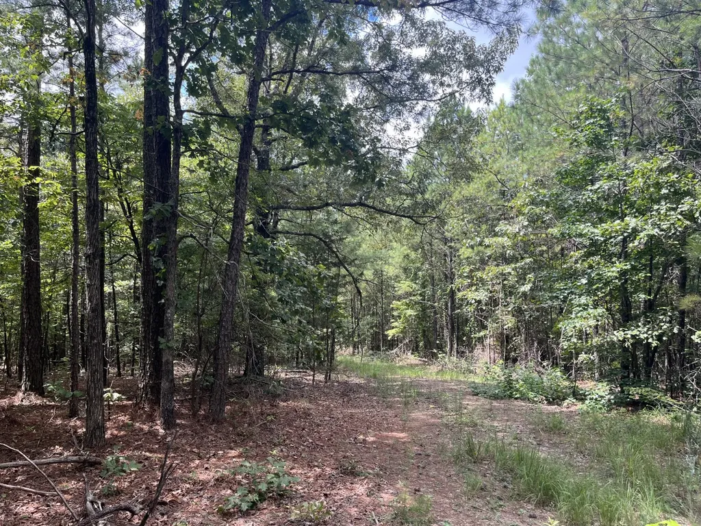 1423 Co Highway 25 Hamilton AL 35570
