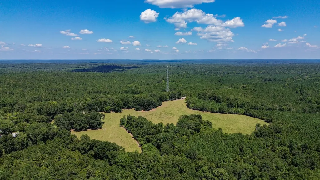 0 Hwy 10 E Pine Apple AL 36768