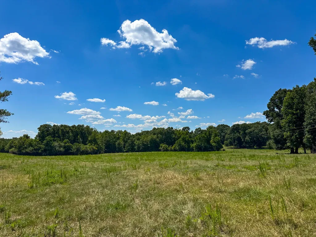 0 Hwy 10 E Pine Apple AL 36768