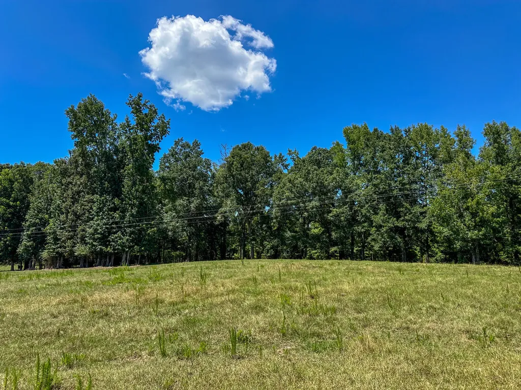 0 Hwy 10 E Pine Apple AL 36768