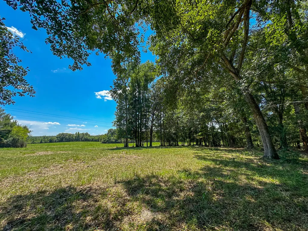 0 Hwy 10 E Pine Apple AL 36768