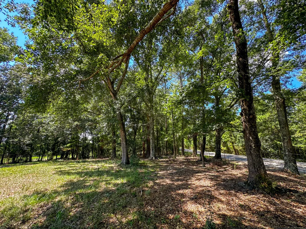 0 Hwy 10 E Pine Apple AL 36768
