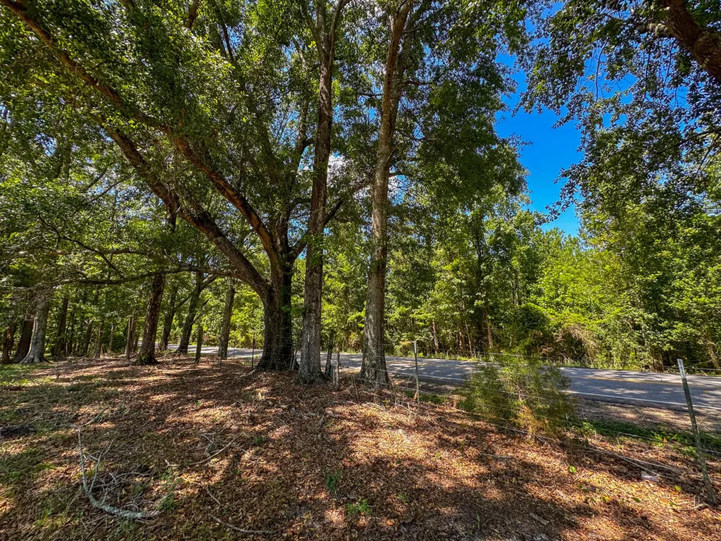 0 Hwy 10 E Pine Apple AL 36768