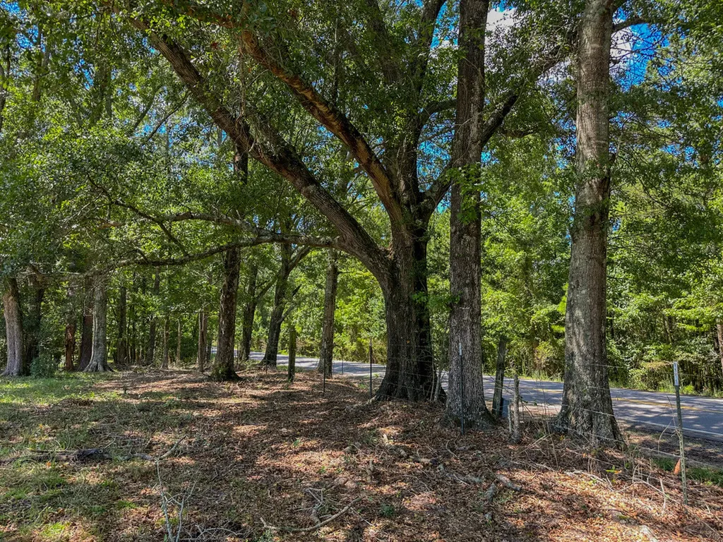 0 Hwy 10 E Pine Apple AL 36768