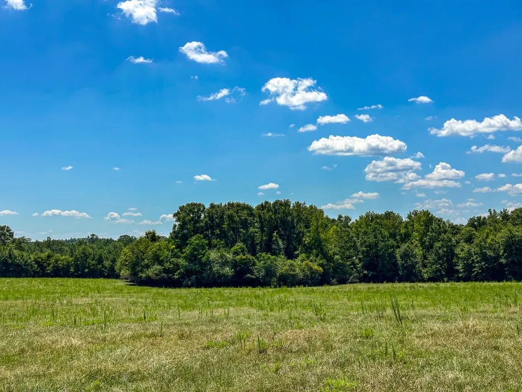 0 Hwy 10 E Pine Apple AL 36768