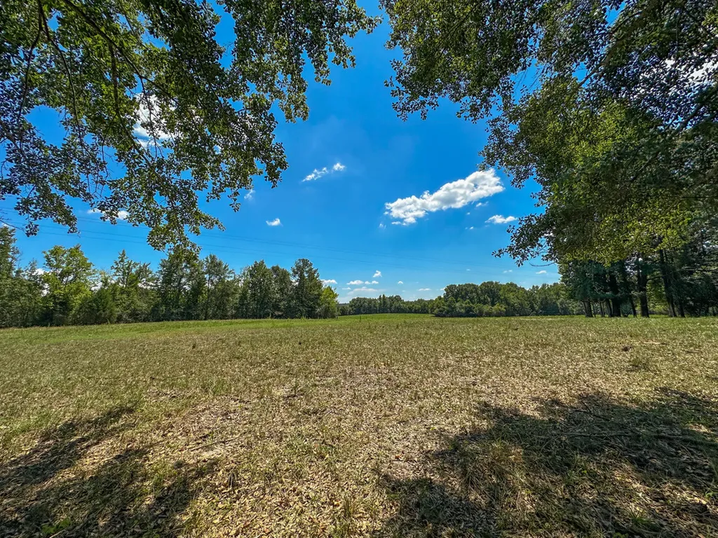0 Hwy 10 E Pine Apple AL 36768