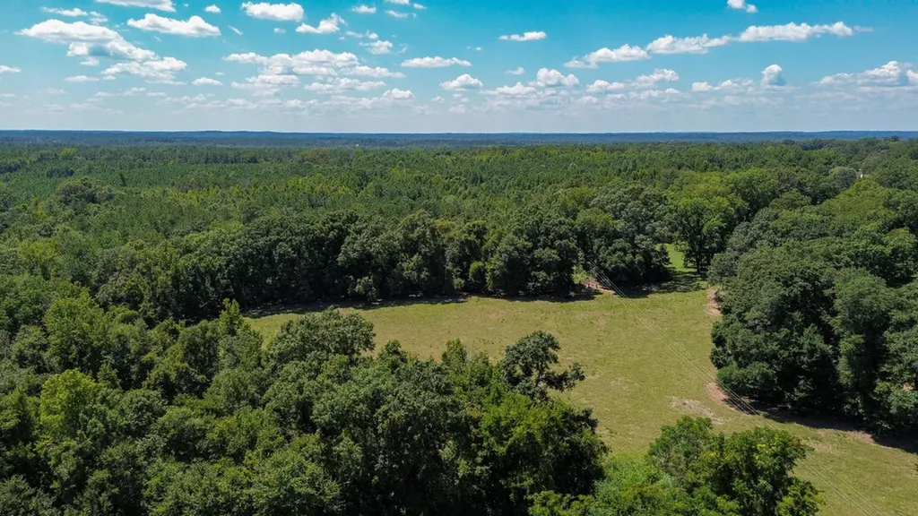 0 Hwy 10 E Pine Apple AL 36768