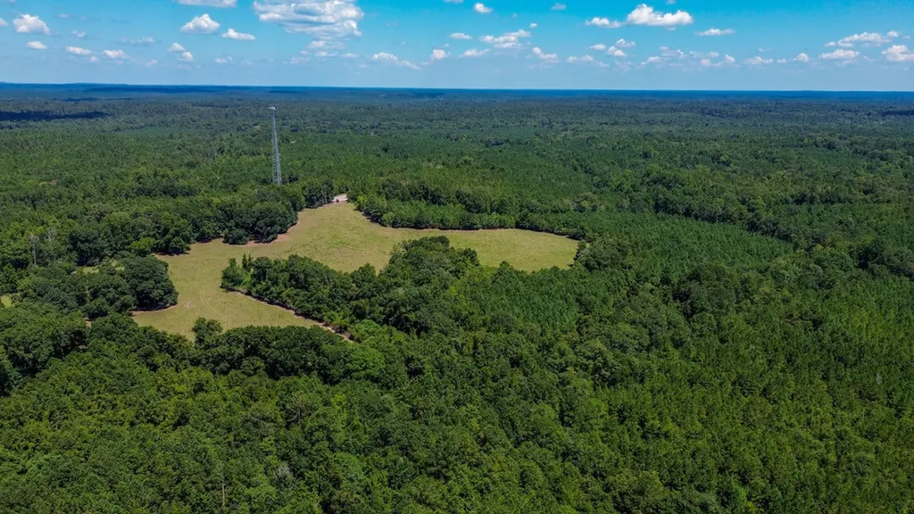 0 Hwy 10 E Pine Apple AL 36768