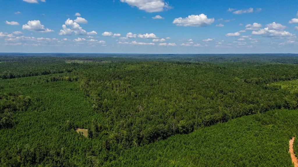 0 Co Road 61 Pine Apple AL 36768