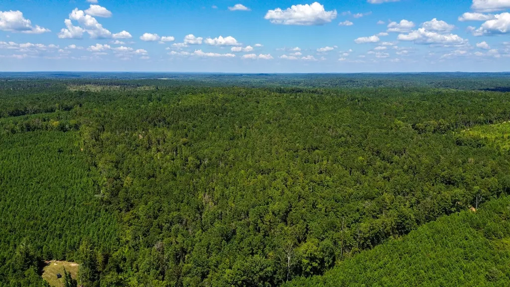 0 Co Road 61 Pine Apple AL 36768