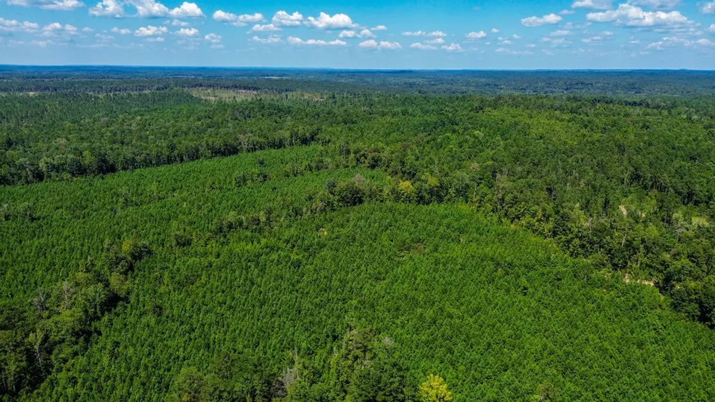 0 Co Road 61 Pine Apple AL 36768