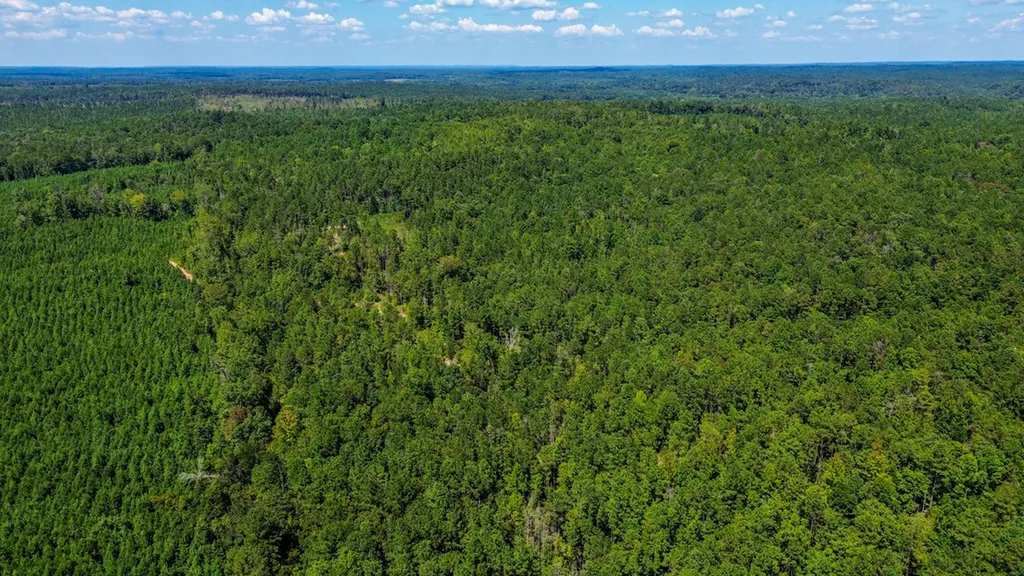 0 Co Road 61 Pine Apple AL 36768