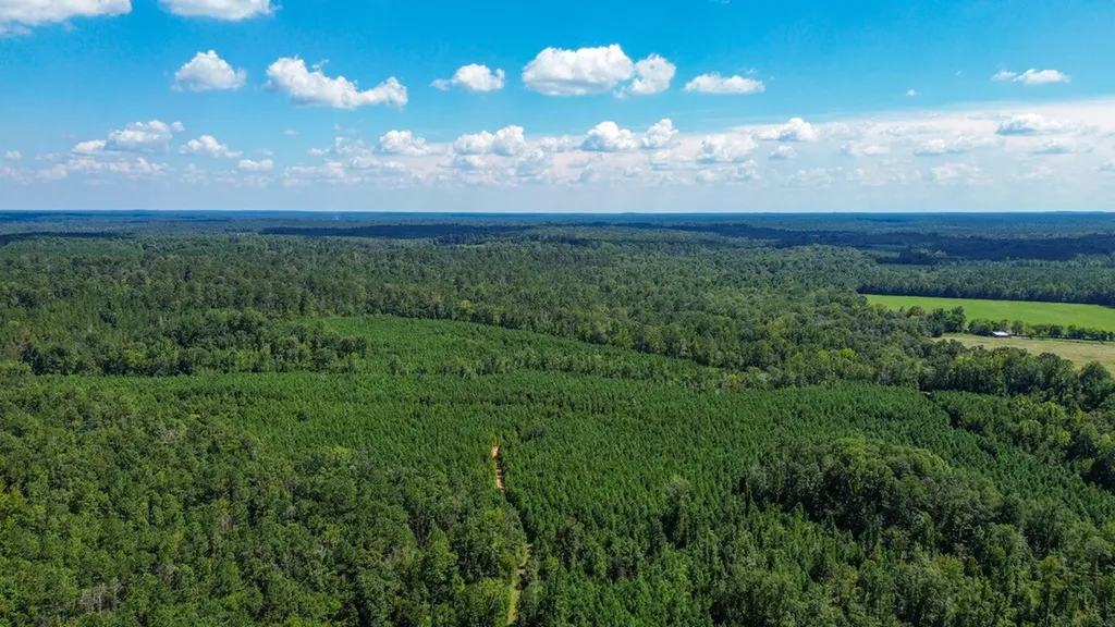 0 Co Road 61 Pine Apple AL 36768