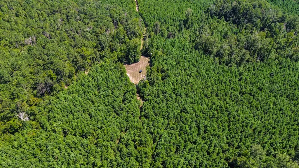 0 Co Road 61 Pine Apple AL 36768