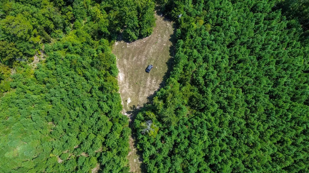 0 Co Road 61 Pine Apple AL 36768