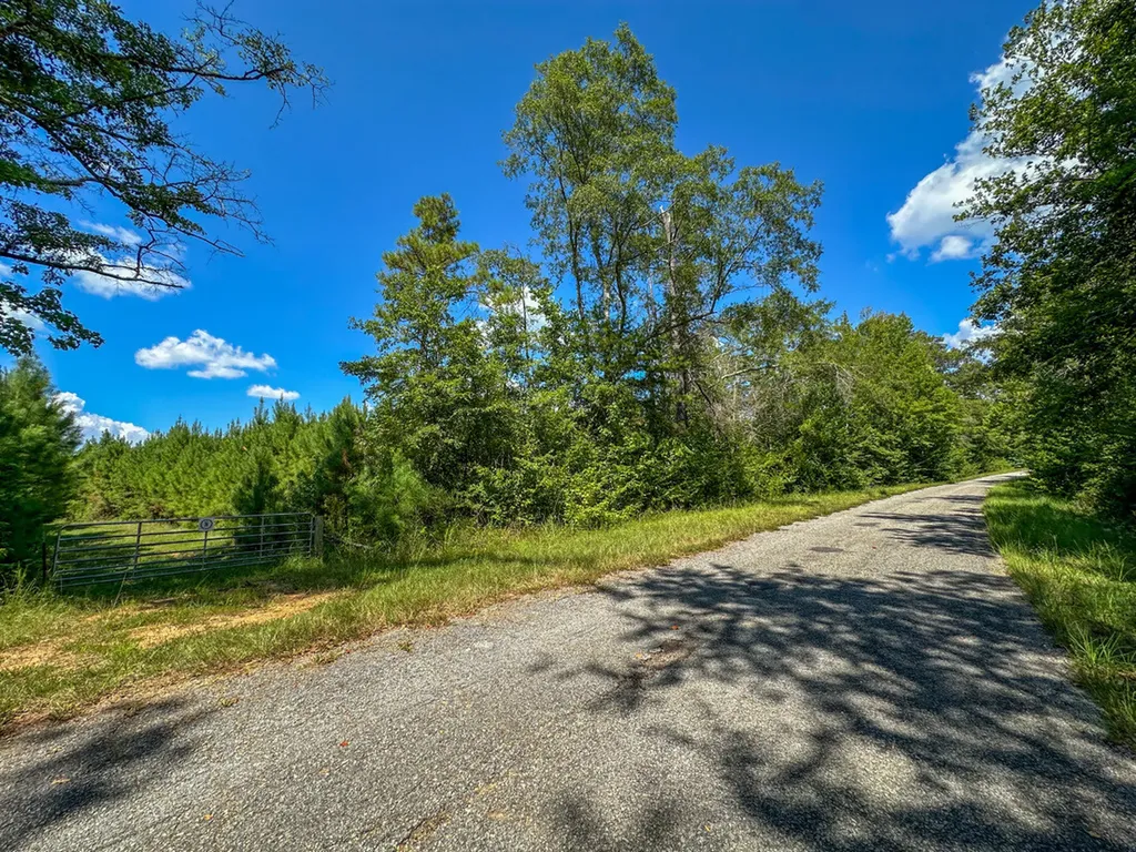 0 Co Road 61 Pine Apple AL 36768