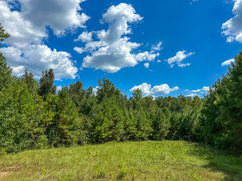 0 Co Road 61 Pine Apple AL 36768