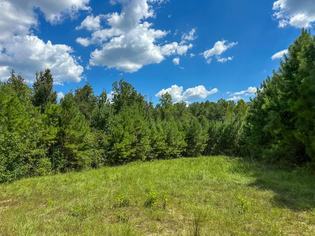 0 Co Road 61 Pine Apple AL 36768