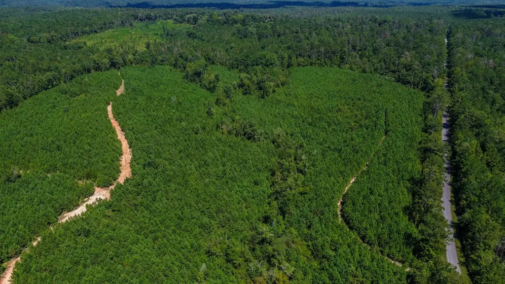 0 Co Road 61 Pine Apple AL 36768